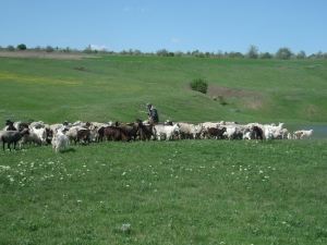 GEDSC DIGITAL CAMERA