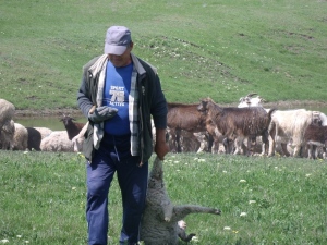 GEDSC DIGITAL CAMERA