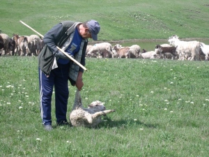 GEDSC DIGITAL CAMERA